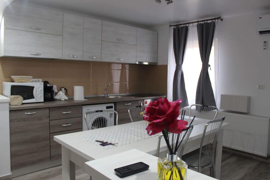 Apartament Anais Călimăneşti Bagian luar foto